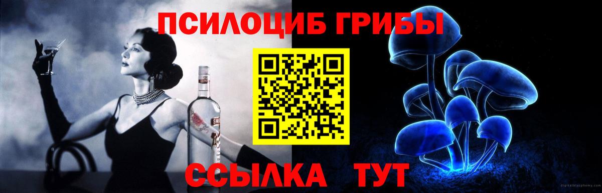 Галлюциногенные грибы GOLDEN TEACHER  Галлюциногенные грибы прущие грибы  Вход с VPN  Зерноград 